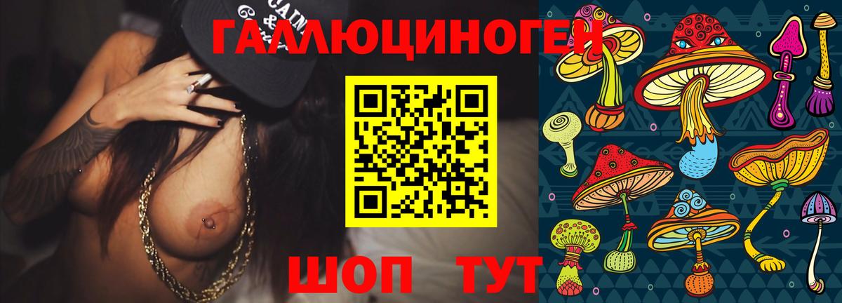 Псилоцибиновые грибы прущие грибы Усть-Джегута